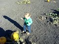 Time to find some pumpkins