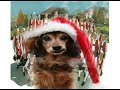 I'm a Dachshund