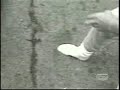 pit bull snacks on police officer