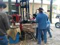 videos de 2008_1129suwannee0006.AVI