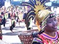 WOW Philippines! Sibug-Sibug festival ipil sibugay, papaya WOW Philippines! Sibug-Sibug festival ipil sibugay, papaya