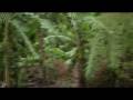 videos de GirlOnBike.mp4