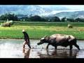 ANAKPAWIS Hymn - 1
