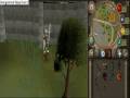 videos de bandos! godswords
