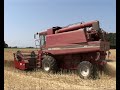 Raps aus dem Thurgau Teil 2 Raps aus dem Thurgau Teil 2
