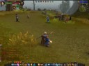 Warhammer Online beta: Rune priest part 2
