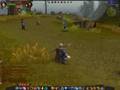 Warhammer Online beta: Rune priest part 2