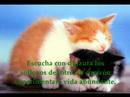 La Amistad
