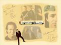 Jean-jacques Goldman je marche seul