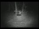 HCO Scoutguard SG550 Video & Image Samples by Chasingame
