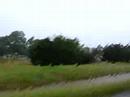 The Swamp of the Texas Hill Country The Swamp of the Texas Hill Country