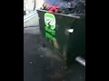 back ally cardboard fight