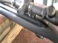 Tactical VQ Volquartsen Ruger 10/22 .22lr Demo