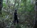 Wielding the Machete in the Jungle of Mirador, Guatemala
