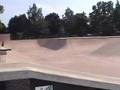 Some Examples of Michigan Skateparks