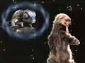 Budweiser - Songs of the Ferret