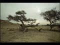 Shir La'ma'alot - Yosef Karduner (Tehilim 121)