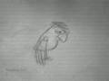 discouraged bird