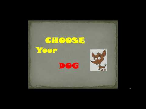 how to decide what to feed your dog