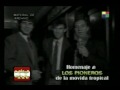 los mirlos   10 años de la movida tropical en argentina   lm  