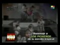 los mirlos   10 años de la movida tropical en argentina   lm  