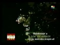 los mirlos   10 años de la movida tropical en argentina   lm  