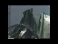 Scarecrow Automatic Animal Deterrent