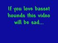Basset hound suffers separation anxiety! Dog howling