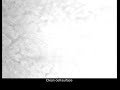 patch clamp - isolated retina - Miller Lab