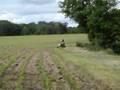 Dirt Bike henot 107cc 