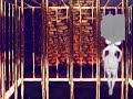 Betty is Back: THE RESORECTION OF BETTY.avi