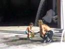 chuveiro chuveiro