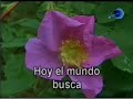 Canal Red Advenir :: La Esperanza es Jesús - Thumb #1