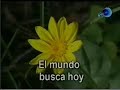 Canal Red Advenir :: La Esperanza es Jesús - Thumb #2