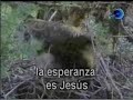 Canal Red Advenir :: La Esperanza es Jesús - Thumb #3