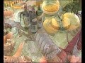 Hotel Ristorante Lucciola Santo Stefano Mare Vedi last minute