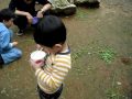 阿蒲餵兔子