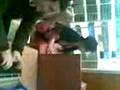 videos de Mental Guy In Hotel