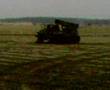 Bm-21