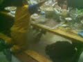 Gabelo dando Spaghetti a Banta