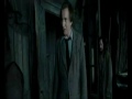 Tana Potter 4 y La Venganza De Los Coyos