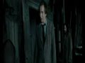 Tana-Potter-4-y-La-V