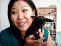 Update my new pup BeBe Update my new pup BeBe