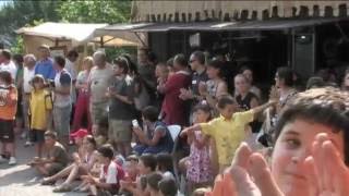 La torre in Festa 2009