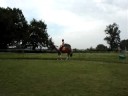 raya en cordelette 25 juillet