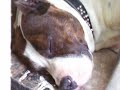 cash sleeping