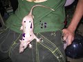 My Rats Cynder & Sphinx