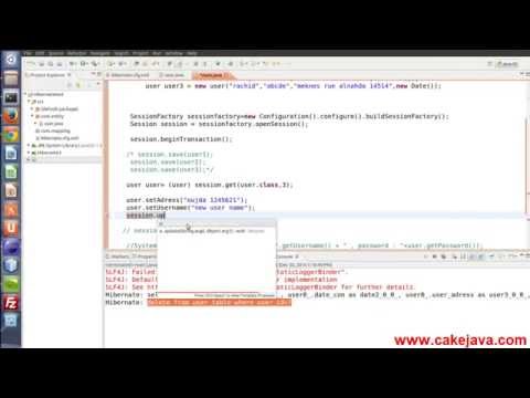 how to perform update operation in hibernate