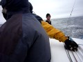 videos de Hobie 33 Still Crazy 2009 Coastal Cup off Half Moon Bay