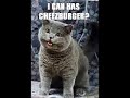 Interview with Eric Nakagawa, Founder of ICANHASCHEEZBURGER